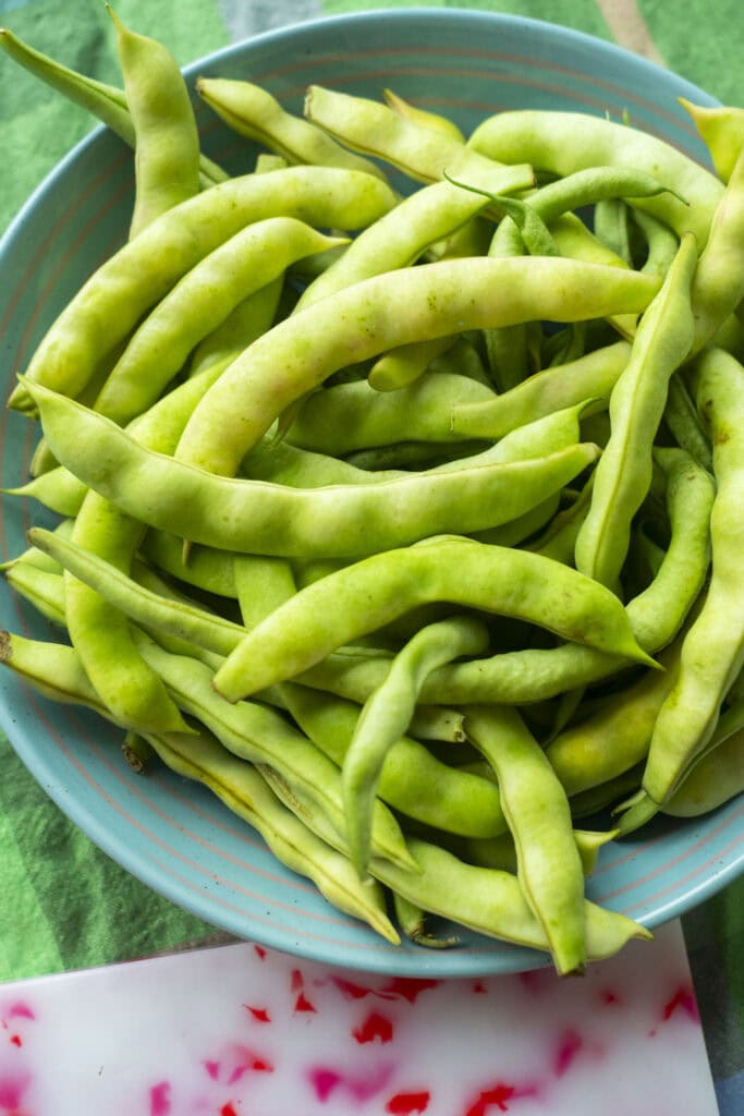 fresh green beans in a blue bowl. 
