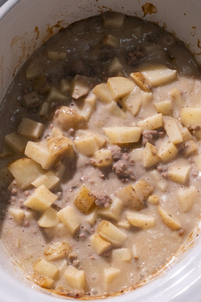 ingredients cooked after 3 hours in crockpot.