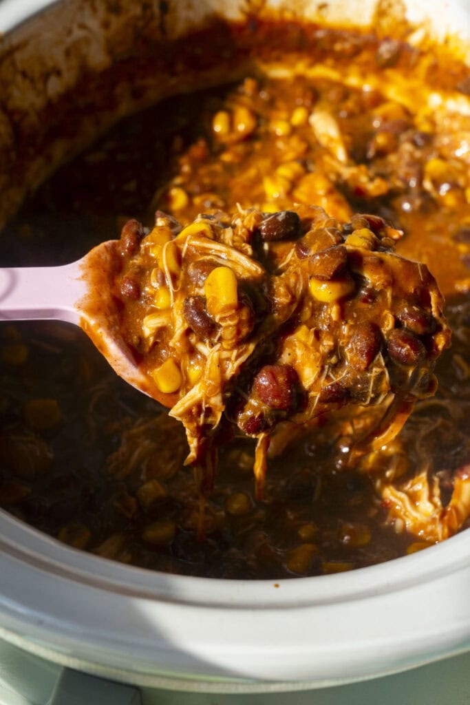 spoon stirring crockpot chicken. 