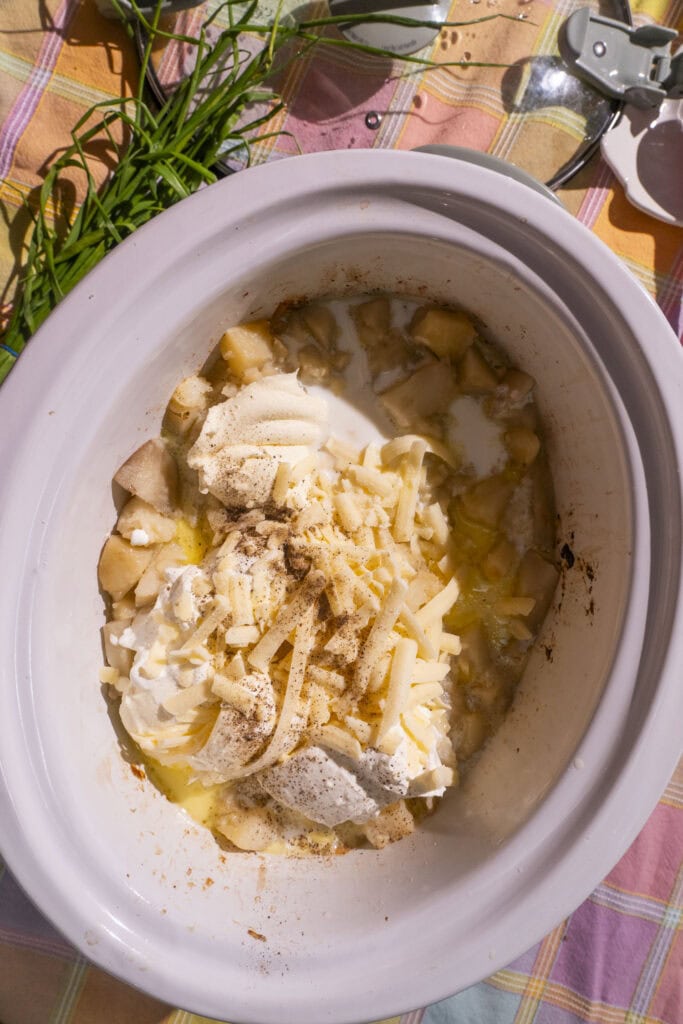 other ingredients added into crockpot.