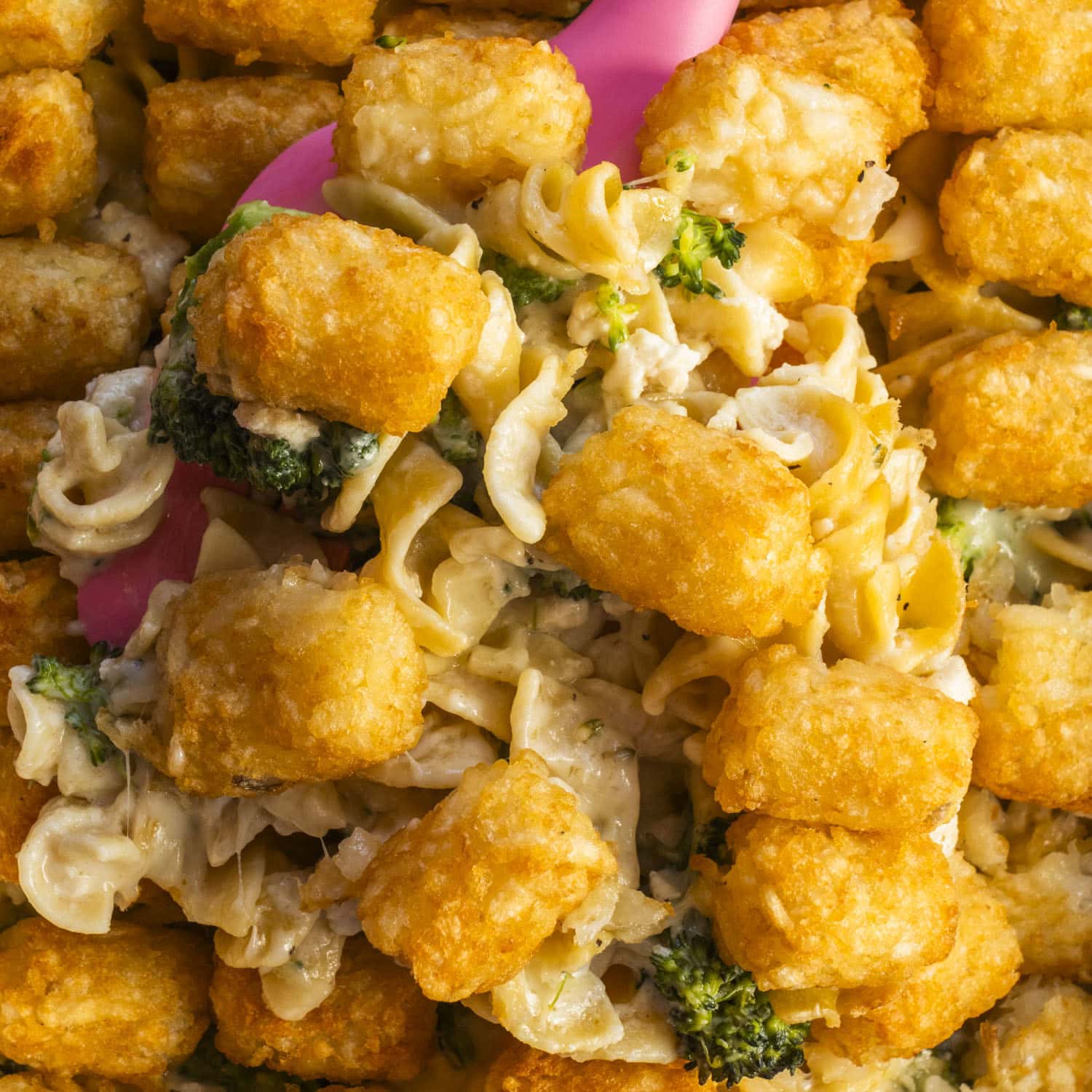 Cheesy Ground Chicken Noodle Casserole with Tater Tot Crust