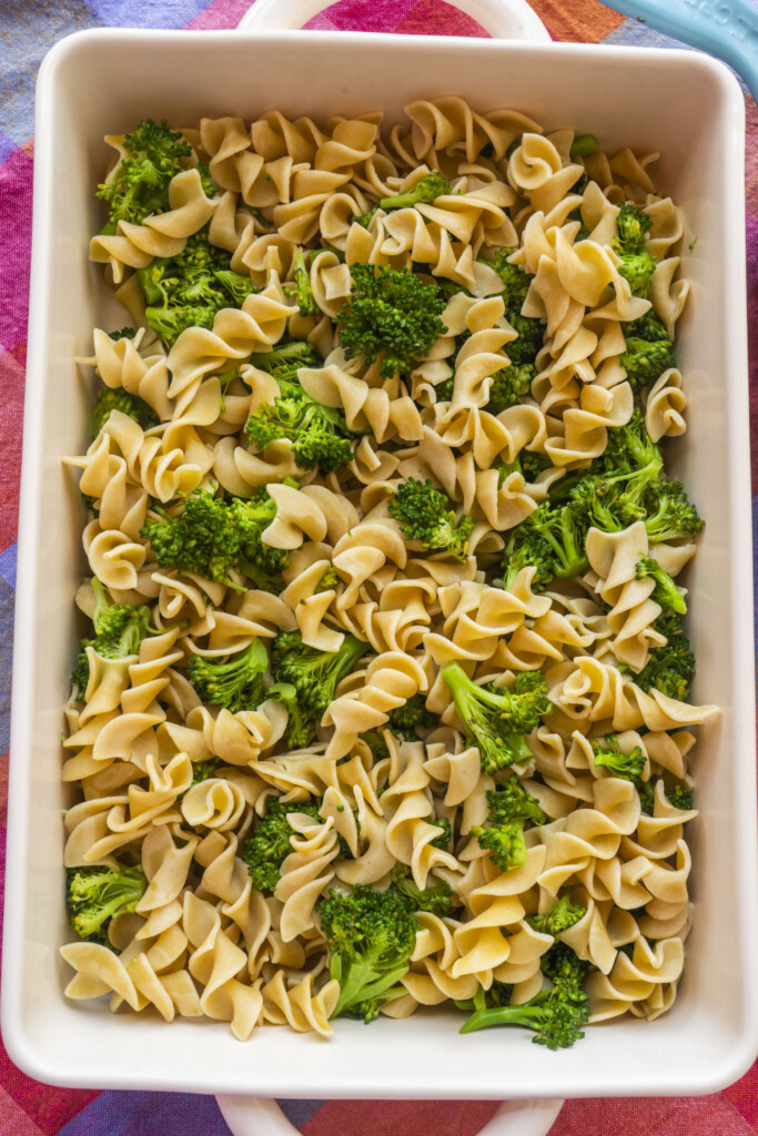 A white baking dish filled with uncooked egg noodles and broccoli florets, placed on a colorful striped cloth.