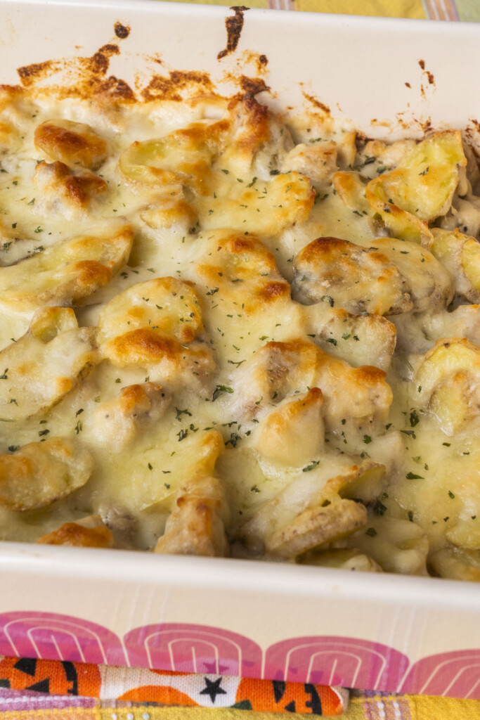 Close-up of the golden, bubbly cheese topping on a baked potato and chicken casserole.