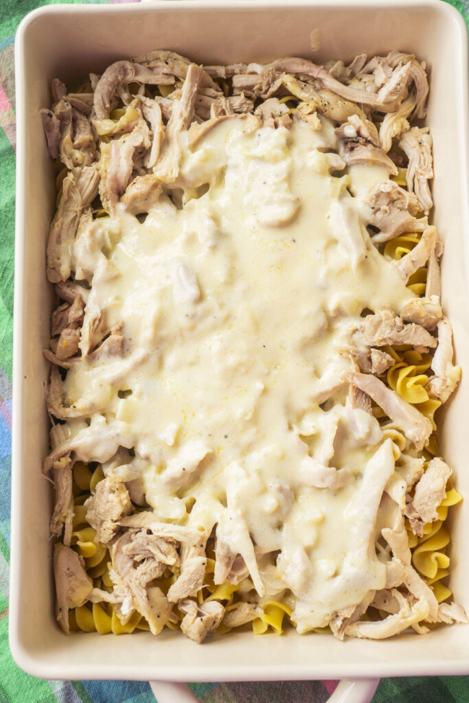 A close-up of a casserole dish filled with cooked egg noodles, shredded chicken, and a creamy white sauce on top, ready to be baked.