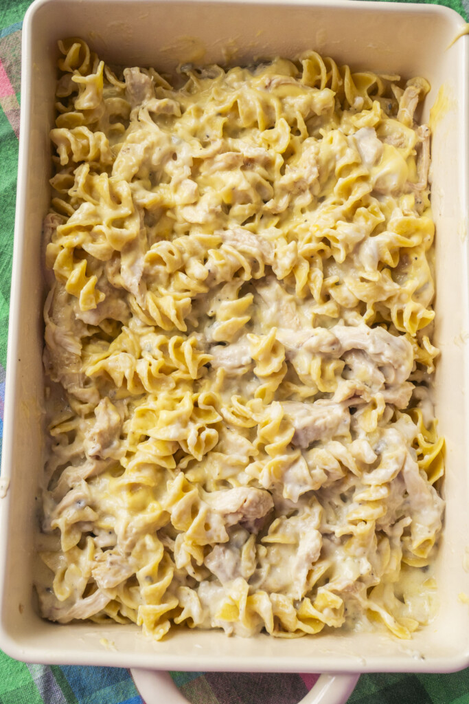 A baking dish filled with creamy, baked egg noodles mixed with chunks of chicken, appearing golden and cheesy on top.