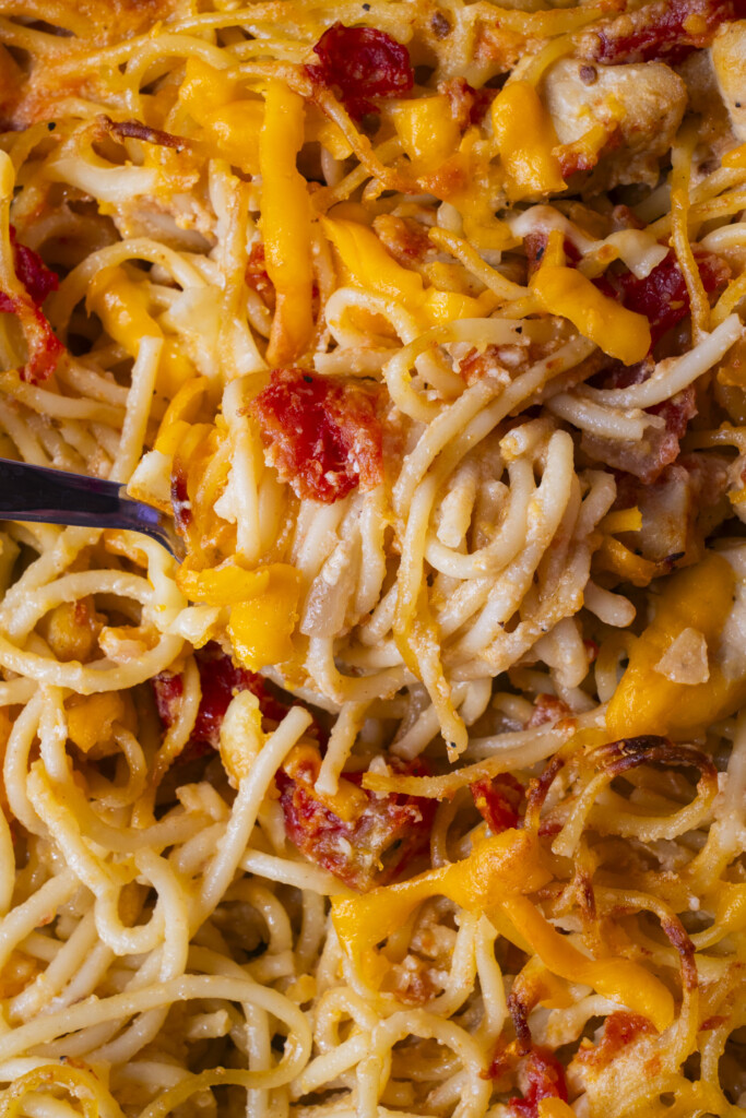 Close-up of baked spaghetti mixed with melted cheddar cheese, pieces of chicken, and diced tomatoes.