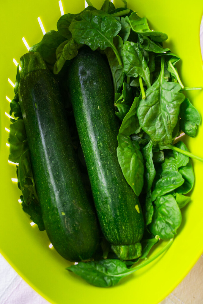 Two fresh zucchinis placed on a bed of spinach leaves inside a bright green basket.