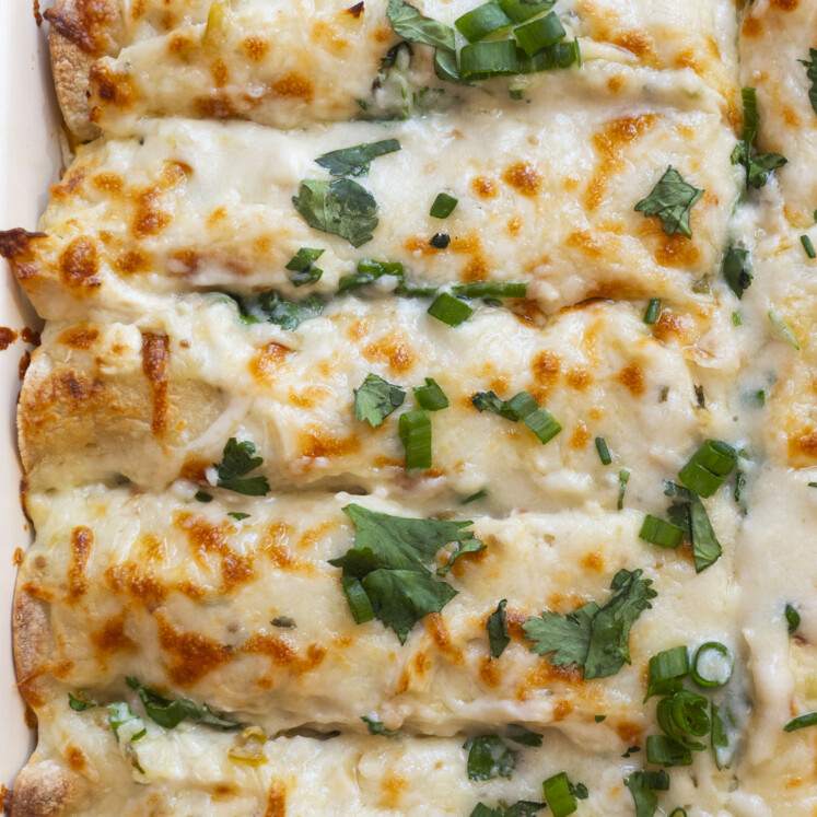 Golden, cheesy enchiladas topped with melted cheese, chopped green onions, and fresh cilantro, arranged closely together in a baking dish.