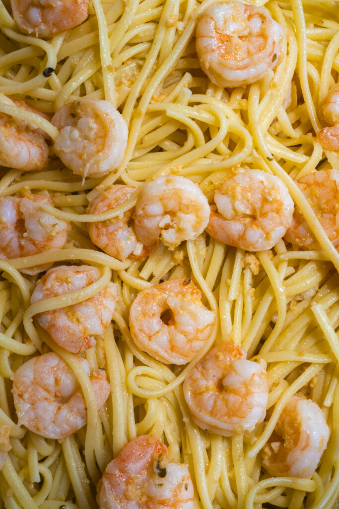 Close-up of cooked spaghetti mixed with shrimp, lightly coated in a sauce, highlighting the texture of the pasta and the pink color of the shrimp.