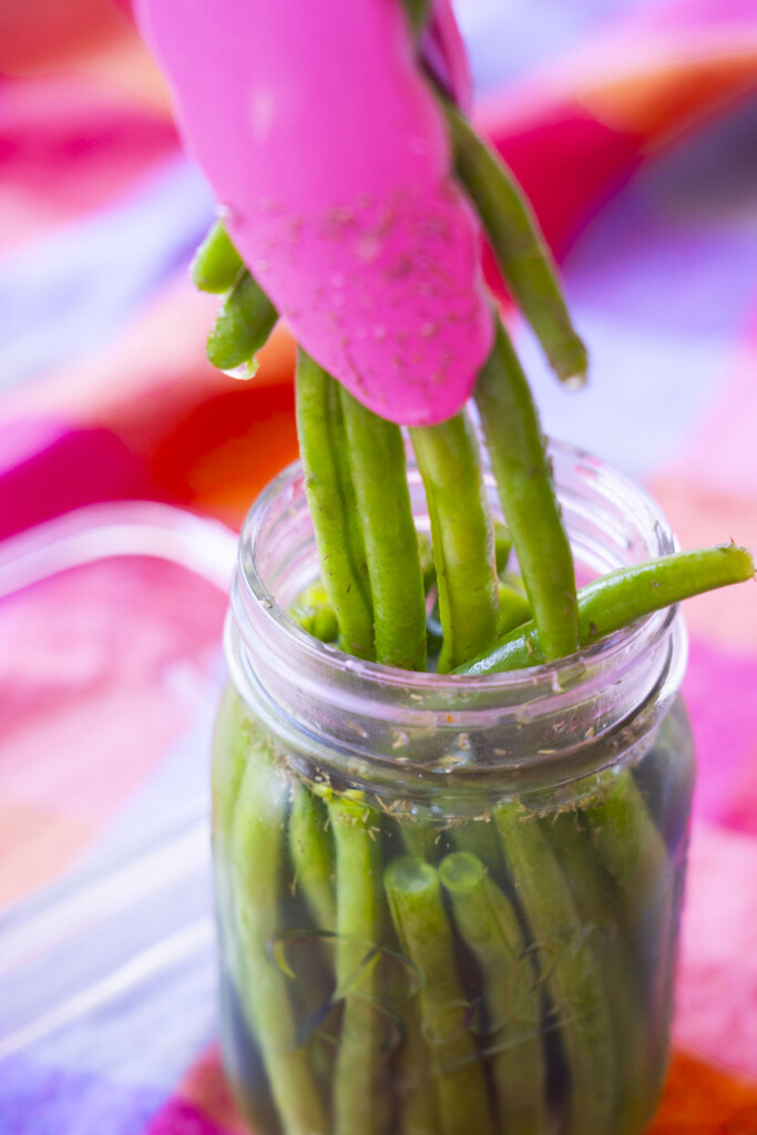 A pair of pink tongs picks out pickled green beans out of a glass jar.