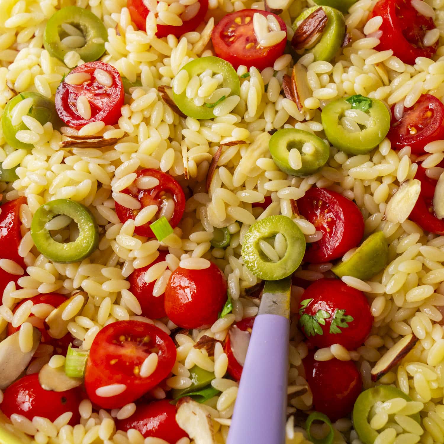 Orzo Pasta Salad with Olives, Tomatoes and Lemon Dressing
